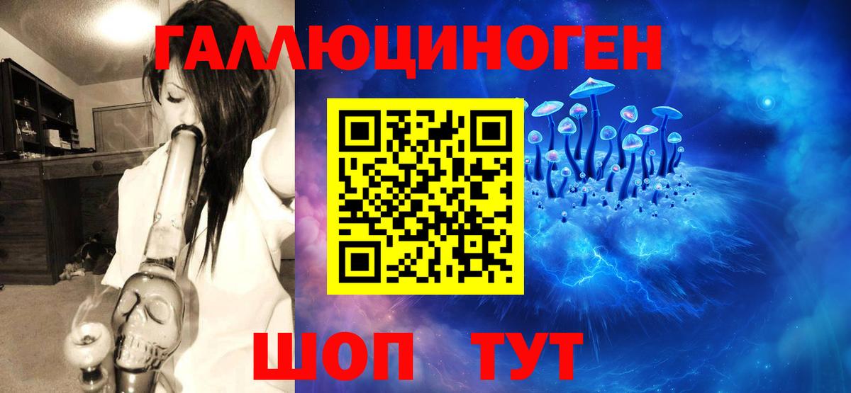Вольск  Псилоцибиновые грибы MAGIC MUSHROOMS  Вход с VPN 
